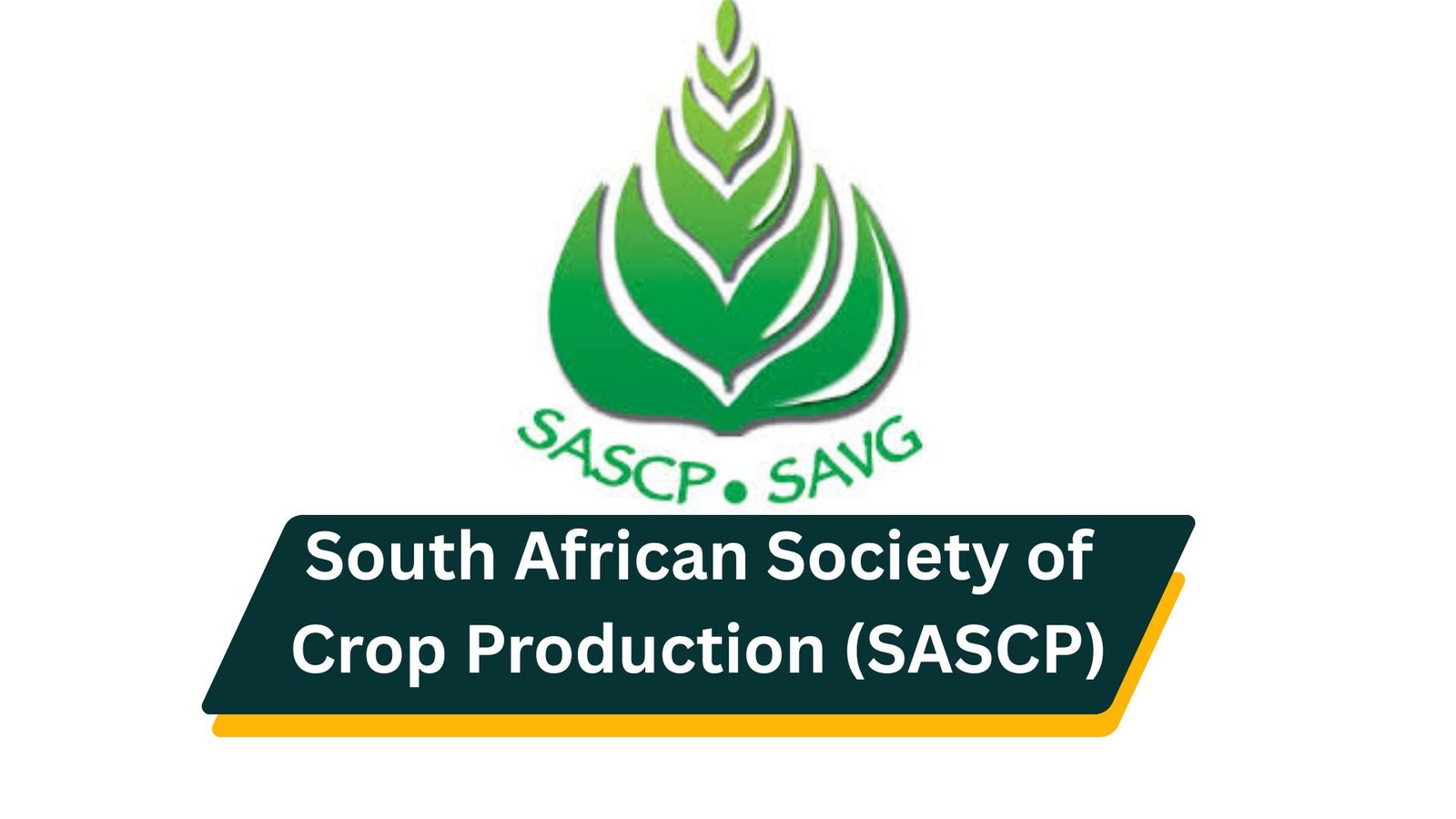 South African Society of Crop Production (SASCP) Bursary 2026